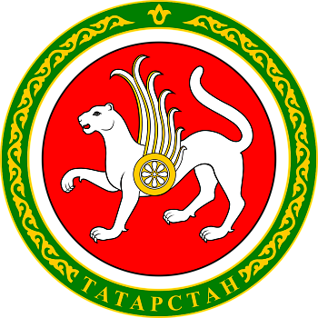 16.Республика Татарстан